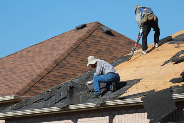 Best Gutter Installation and Repair  in Stanaford, WV